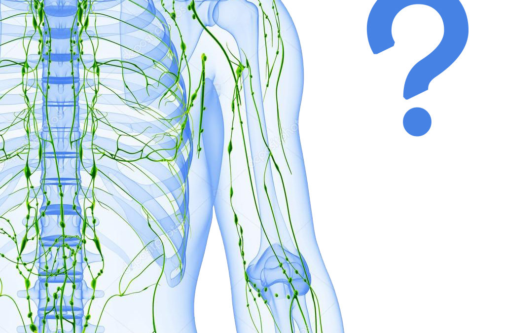 The Lymphatic System – Part One